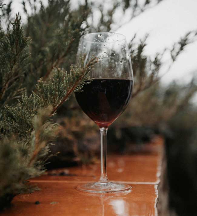 wine tasting